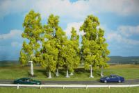 Heki 1322 - 10 BIRKEN 10-18 CM