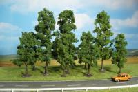 Heki 1323 - 10 BUCHEN 10-18 CM