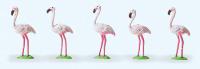 Preiser 20372 HO Flamingos