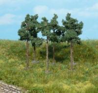 Heki 1152 - 6 Kiefern 6 cm