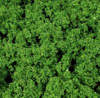 Heki 1540 - ARTLINE KOMPAKT MITTELGRÜN, 28X14 CM