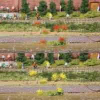 Heki 1804 - Grasbüschel, blühend gelb/rot, 6 mm (100 St./Pkg.)