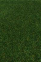 Heki 1862 - kreativ Wildgras dunkelgrün, 45x17 cm