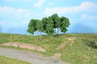 Heki 19113 - 2 HAINBUCHEN 9 CM