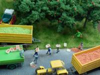 Juweela 28122 - Äpfel rot. 25 g.