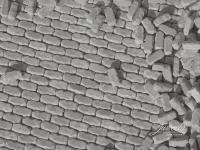 Juweela 28416 - Spur H0 Mauersteine Granit, grau