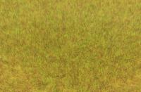 Heki 3371 - Grasfaser Wildgras, 5 - 6 mm hoch