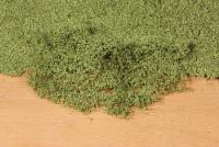 Heki 1676 - Blätterflor mittelgrün