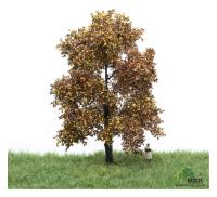 MBR model 52-2203 - Spur HO/TT Eiche Herbst, 12-16 cm
