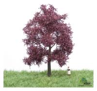 MBR model 51-2214 - Spur HO/TT Blutbuche Sommer, 12-16cm