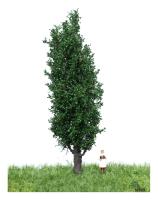 MBR model 51-2207 - Spur HO/TT Neutral Italienische Pappel Somme