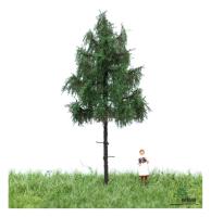 MBR model 51-4105 - Spur N Waldfichte Sommer, 6-10 cm
