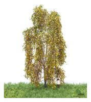 MBR model 52-2201- Spur HO/TT Birke Herbst, 12-16 cm