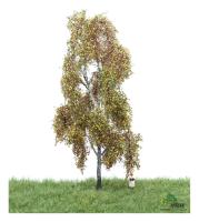 MBR model 52-2301- Spur H0 Birke Herbst, 18-22 cm