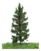 MBR model 51-4206 -  Spur HO/TT Fichte Sommer, 12-16 cm