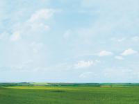 Auhagen 42510 - Spur HO/TT Hintergrund-Verlängerung Döllnitztal