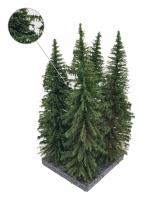 MBR model 51-4307 - Spur H0 4x Fichte 18-21cm