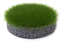 MBR model 54-0604  6 mm Gras Dunkelgrün - 30g