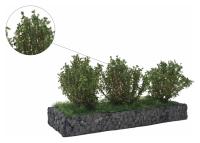 MBR model 50-3014 - Spur H0/TT mittelgroße Büsche, mittelgrün, 3 Stück