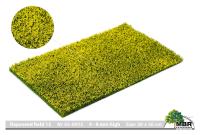 MBR model 55-0015 - Grasmatte Rapsfeld, 4-8 mm