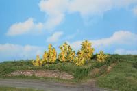 Heki 11800 - 6 Forsythiensträucher 3 - 6 cm