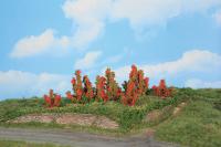 Heki 11801 - 6 Rosensträucher 3 - 6 cm