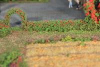 Heki 11811 - 2 flexible Rosenhecken 0,7 x 1,4 x 50 cm