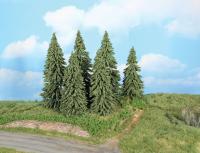 Heki 21801 - 6 Wetterfichten 14 - 18 cm