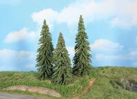 Heki 21800 -  3 Wetterfichten 18 - 22 cm