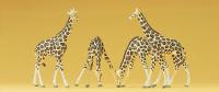Preiser 79715 - Spur N Giraffen