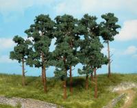 Heki 1413 - 14 Kiefern 10-16 cm