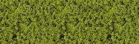 Heki 1560 - HEKI Laub Belaubungsflocken hellgrün