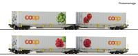 Roco 6600322 - Spur HO 2-tlg. Set 1: Doppeltaschen-Gelenkwagen T2000, railCare
