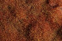 Auhagen 70904 - Büsche/Sträucher Winter 4-30 mm