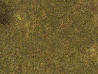 Auhagen 75117 - Spur HO/TT/N Herbstwiesenmatte 35 x 50 cm