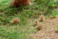 Auhagen 76705 - Grasbüschel Herbst 2-6 mm