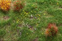 Auhagen 76939 - Flocken-Set 1, 5 g