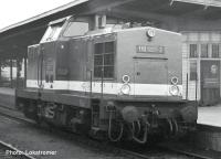 Roco 7300107 - Spur HO Diesellokomotive BR 110, DR