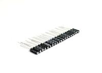 ZIMO MGOGURT - 20 Mini-Goldcaps MINIGOLD