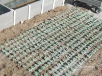 Juweela 21328 - Spur TT + N Weißkohlfeld, 360 Pflanzen