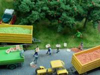 Juweela 21230 - Baumobst grün