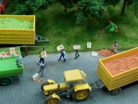 Juweela 21232 - Baumobst rot